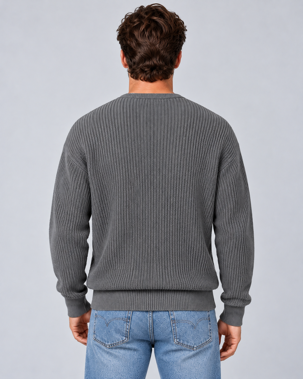 Men's round-neck zip-up rib-knit cardigan in grey, rear, on approved studio model